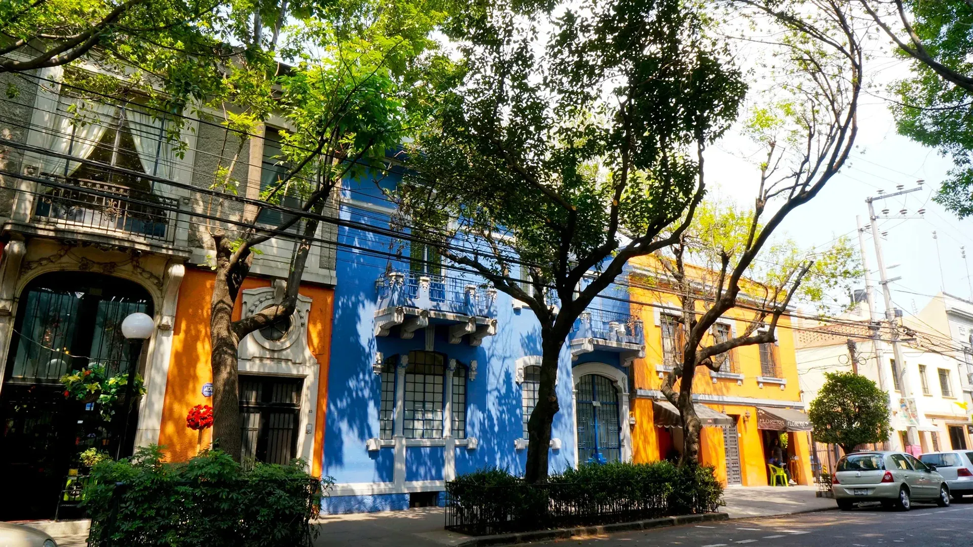 Boga_Mexico_City_Luxury_Boutique_Apartments_Roma_Norte_Modern_Design_Rooftop_Terrace_Private_Kitchen_Cultural_Experience_Art_Galleries_Gourmet_Restaurants_Vibrant_Nightlife_Mexico_City_What_To_See.webp