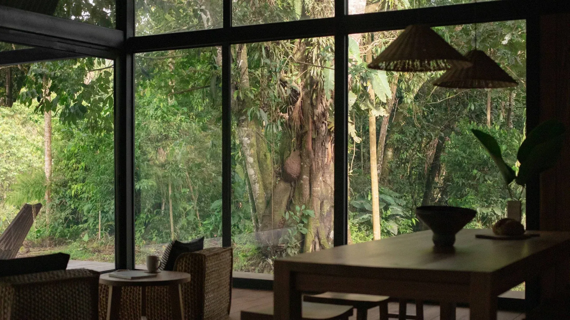 Casa_Manire_Best_Holistic_Escape_Manire_Forest_Jungle_Groups_Authentic_Peru_G_fbd990da69.webp