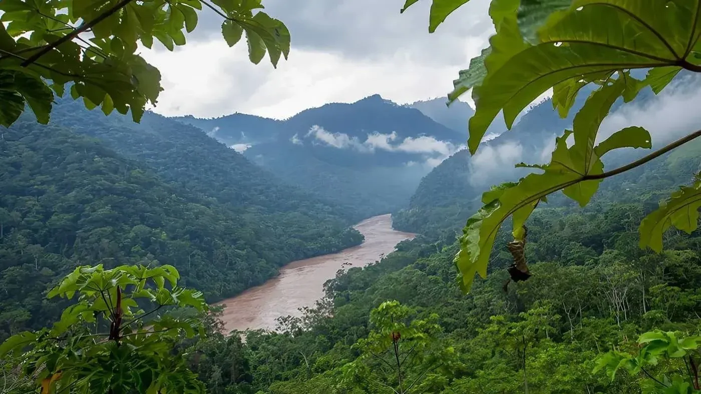Casa_Manire_Best_Holistic_Escape_Manire_Forest_Jungle_Groups_Authentic_Peru_What_To_See.webp