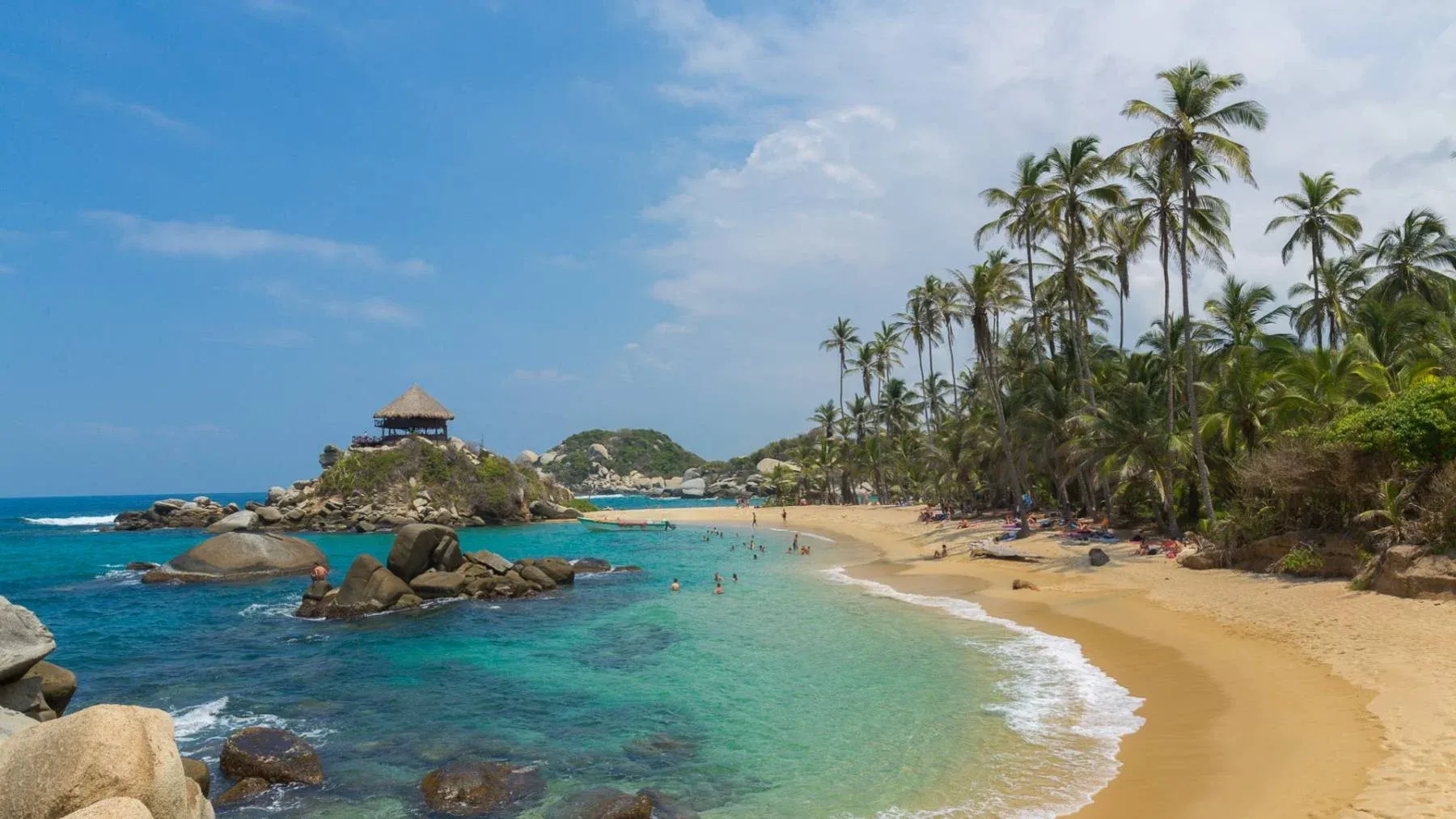 Senda_Watapuy_Colombian_Jungle_Tayrona_Park_Natural_Reserve_Unique_Wildlife_Amazing_Couples_Small_Groups_Santa_Marta_Colombia_What_To_See.webp